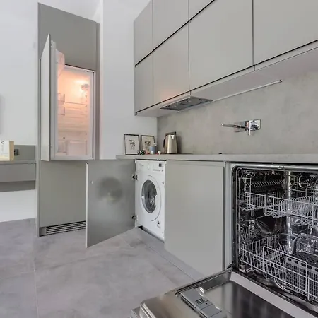 Luxurious New Flat ברג'ג'י